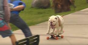 Foto: (Imagem sem texto alternativo disponivel ID [990415])