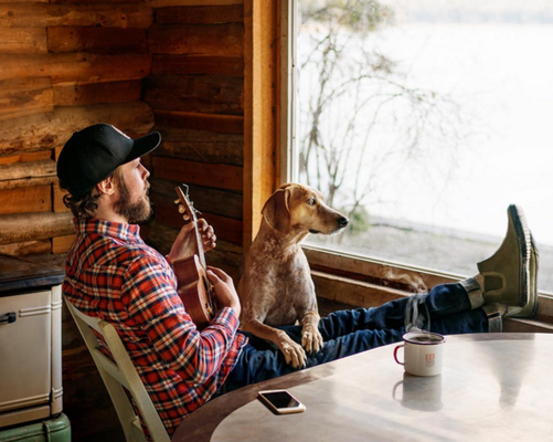 Instagram com fotos incríveis de cadela adotada alcança mais de 1 milhão de seguidores
