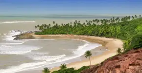 Foto: (luoman/iStock)