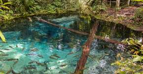 Nobres: um paraíso do Mato Grosso ainda pouco conhecido