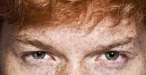 Foto: (Imagem sem texto alternativo disponivel ID [1390389])