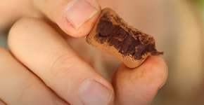Trufa vegana com 2 ingredientes e cara de docinho de rico
