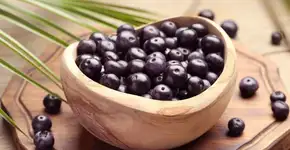 Açaí: entenda como a fruta pode impactar o cérebro e o humor