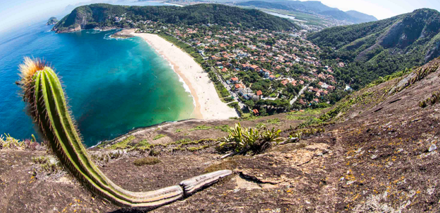 Guia dá dicas de trilhas no Parque da Serra da Tiririca