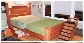 Casal reformula cama para dividi-la com oito cães adotados