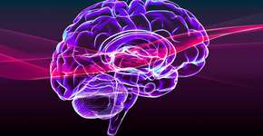 Foto: (iStock/Naeblys)