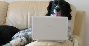 Trabalhe em casa: 10 vagas de ‘freela’ pra reforçar o orçamento