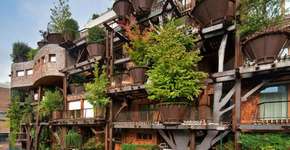 Foto: (Imagem sem texto alternativo disponivel ID [823165])