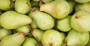 Saiba como a pera reduz o colesterol LDL e ajuda no controle do diabetes