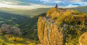 Foto: (Getty Images/iStockphoto)