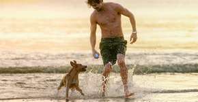 Foto: (Vans Bumbeers/Netflix)