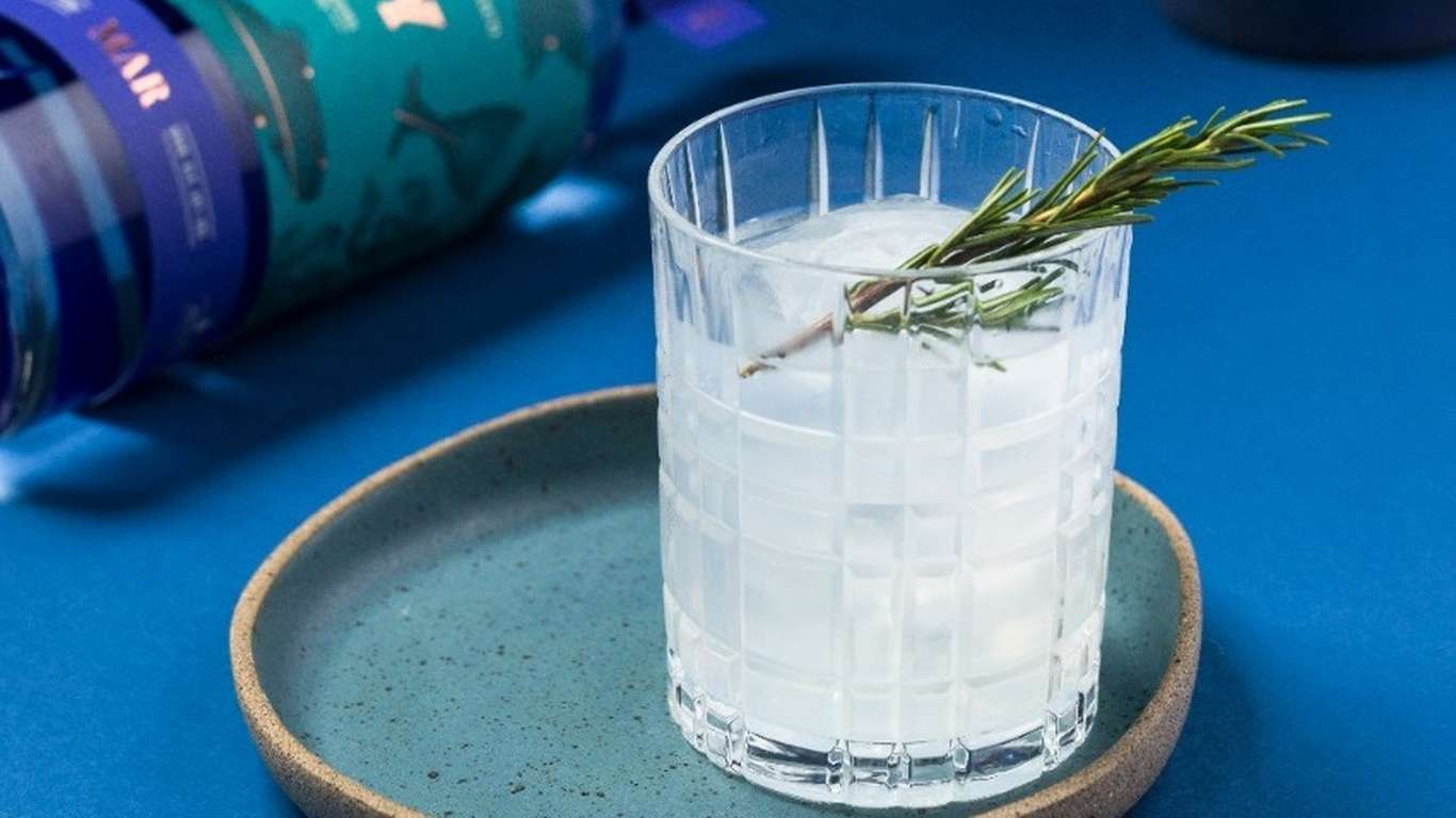 YVY traduz os sabores únicos da biodiversidade brasileira em gin