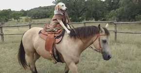 Foto: (Imagem sem texto alternativo disponivel ID [1464505])