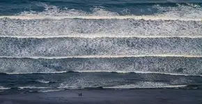 #MISemCASA estreia programa de fotografia neste domingo