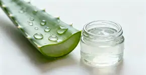 Aloe vera é a única solução que alivia rosácea em minutos