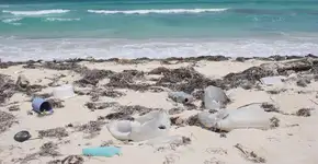 10 coisas para não fazer em destinos de ecoturismo