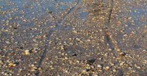 Foto: (Imagem sem texto alternativo disponivel ID [849352])