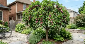 Foto: (Imagem sem texto alternativo disponivel ID [2758868])