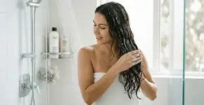 Foto: (Imagem sem texto alternativo disponivel ID [2752185])