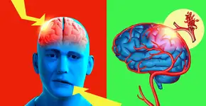 Foto: (100502500/DepositPhotos)