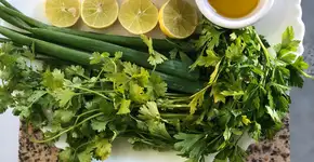 Foto: (divulgação/Jamile Tahim)