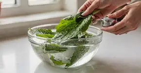 Foto: (Imagem sem texto alternativo disponivel ID [2688215])