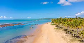 Foto: (Divulgação)