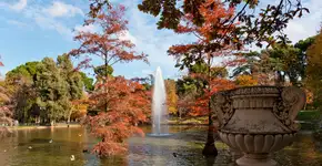 6 coisas imperdíveis para fazer em Madri no outono