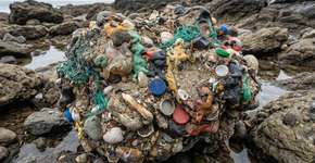 Foto: (Imagem sem texto alternativo disponivel ID [2787616])