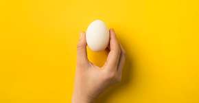 Foto: (Imagem sem texto alternativo disponivel ID [2405460])