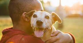 Estudo revela que personalidade negativa pode afetar balança