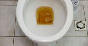 Foto: (Sidney de Almeida/istock)