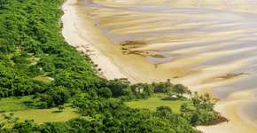 Ilha de Marajó: tudo o que você precisa saber para visitar