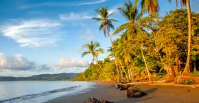 Foto: (Istock/Louis-Michel DESERT)