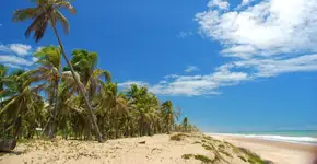 Vila de Baixio, o refúgio baiano que une tranquilidade e aventura