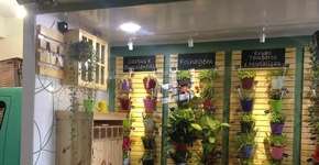 “Plant Truck” ensina como cultivar sua própria horta em SP