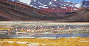 Norte da Argentina une história e belezas naturais