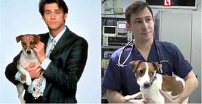 Mulher faz plástica em cachorro para que pareça o cão do Máscara