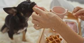 Foto: (Imagem sem texto alternativo disponivel ID [2721577])