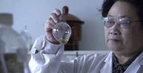 Chinesa sem diploma médico acha cura da malária e ganha Nobel de Medicina