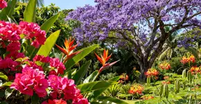 Foto: (Imagem sem texto alternativo disponivel ID [2672643])