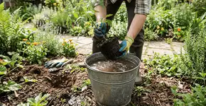 Foto: (Imagem sem texto alternativo disponivel ID [2772873])