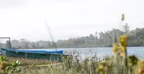 Ação com passarelas tenta salvar paraíso catarinense das baleias