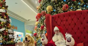 Outlet Premium Imigrantes e PremieRpet promovem Natal inédito para os pets, em São Bernardo do Campo