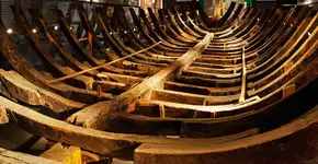 Museu Afro Brasil abre exposição de fotos sobre São Paulo