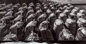 Exposição do fotógrafo Ricardo Hantzschel no Sesc Santana