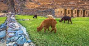 Sítios arqueológicos para conhecer no Peru além de Machu Picchu