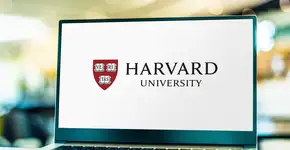 Foto: (Depositphotos/monticello)