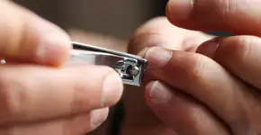 Foto: (tolgart/istock)