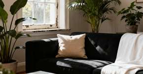 A cor que traz má sorte para a sua casa, é moderna, mas segundo o Feng Shui é melhor evitar